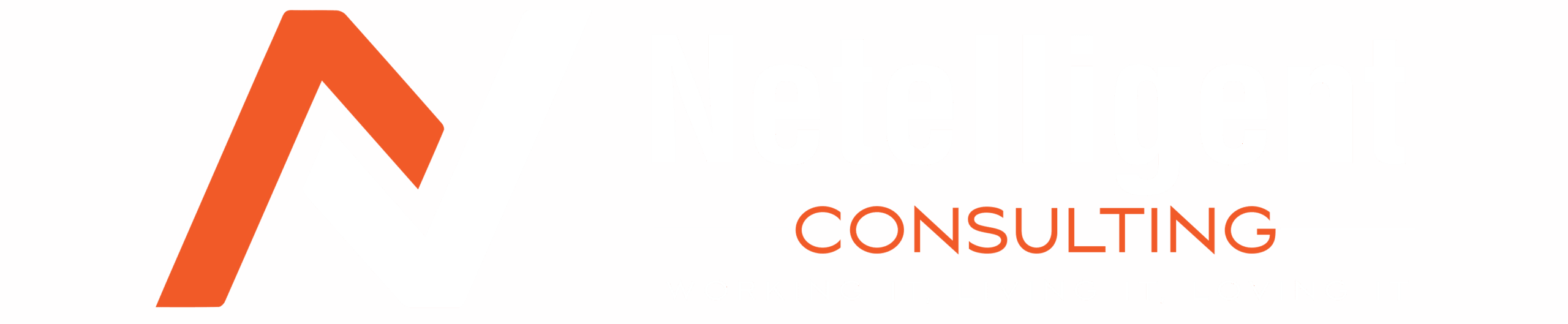 Netelligent Logo Netelligent Logo